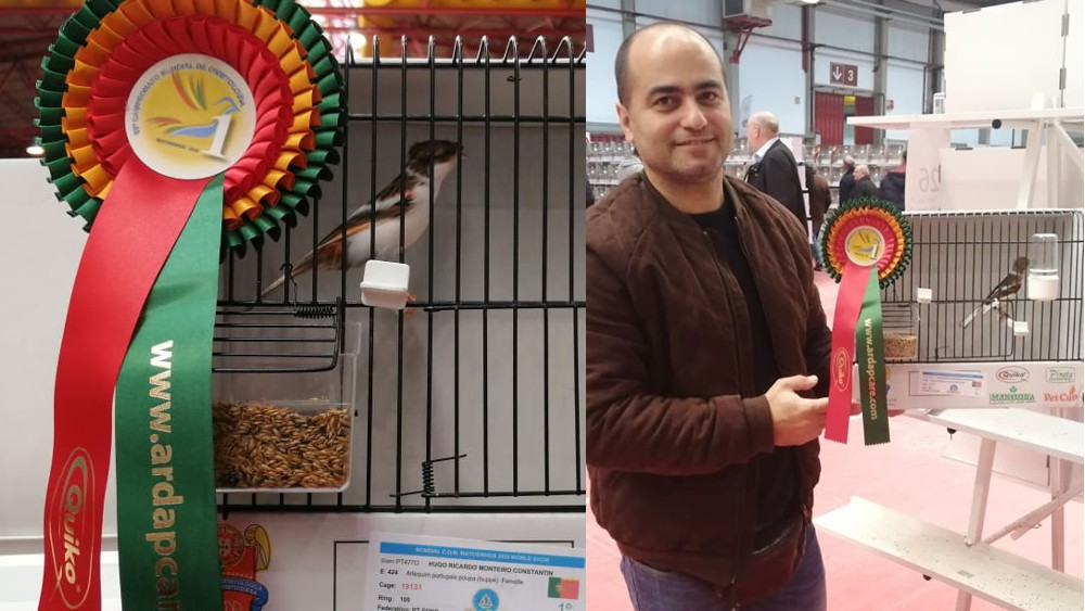Hugo Constantino vence no Campeonato do Mundo de Ornitologia