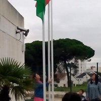 Hastear da Bandeira Verde