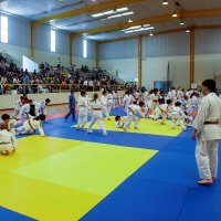 Torneio de Judo