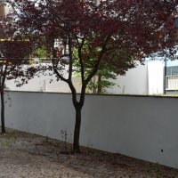Pintura de muros na Rua D. Duarte