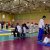Torneio de Judo 2022